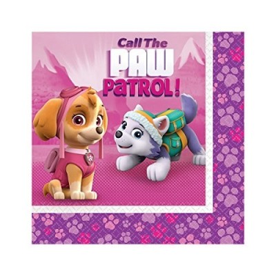 IRPot - KIT N 24 COORDINATO COMPLEANNO PAW PATROL GIRL - SKYE CON CANDELINA
