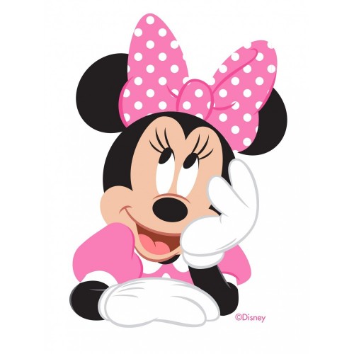 Ciao- Baby Minnie Classic Disney Costume per Bambini, Rosa, 12-18 mesi, 11244.12-18