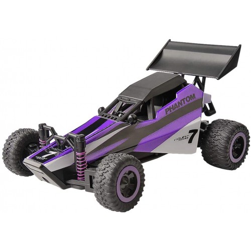 Auto da rally telecomandata, elettrica RC Racing