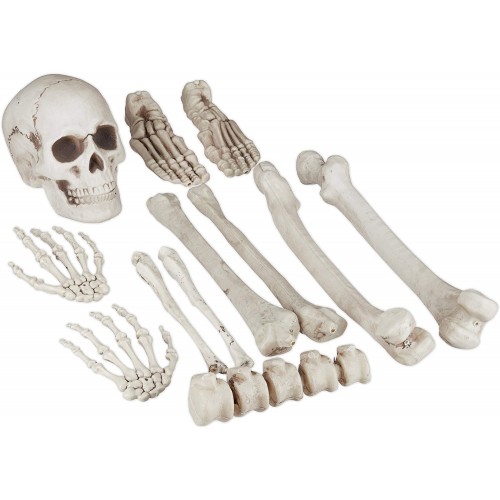 Set 12 ossa, scheletro di Halloween, decorazioni terrificanti