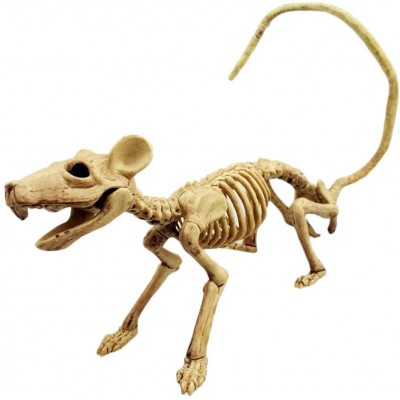 Scheletro ossa di topo per Halloween, terrificante