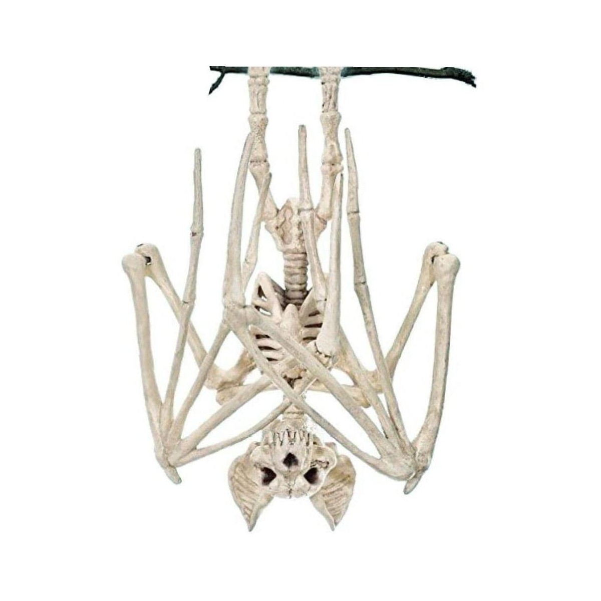 28cm Scheletro di Pipistrello CoolChange 2 Pezzi scheletri Decorazione di Halloween di pipistreli di plastica 