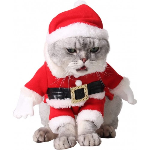 Vestito Babbo Natale per animali domestici
