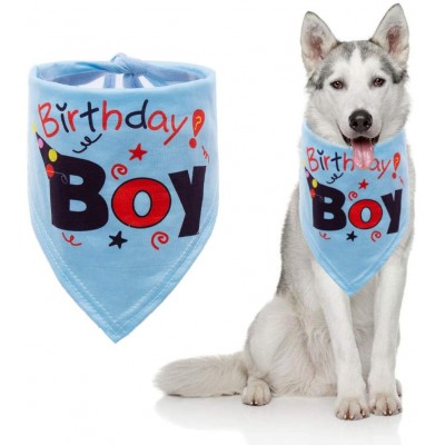 Bandana di compleanno per cuccioli di cane, Birthday Boy celeste