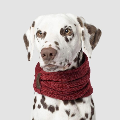 Sciarpa rossa per cani stile Canada Pooch, calda e moderna