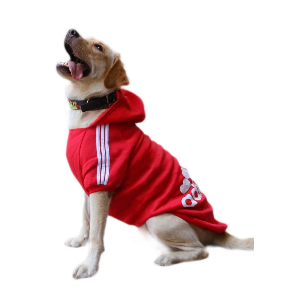 Recuperar giratorio acerca de Felpa per cani Adidog / Adidas colore rosso, con cappuccio