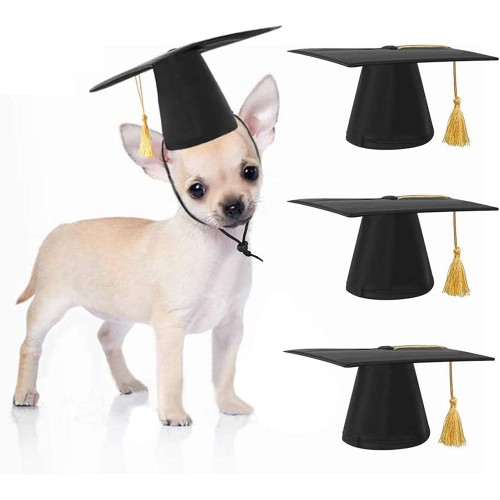 Set 3 cappelli laurea per cani, simpatici resistenti