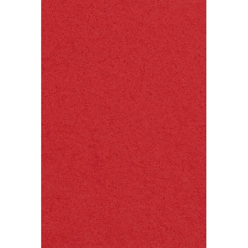 Tovaglia rossa di plastica, PVC, da 137 x 274cm, per feste