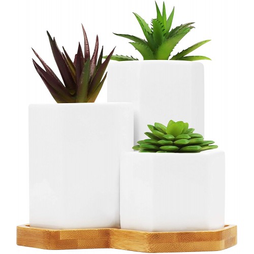 Set da 3 vasi in ceramica con piante grasse, centrotavola matrimonio