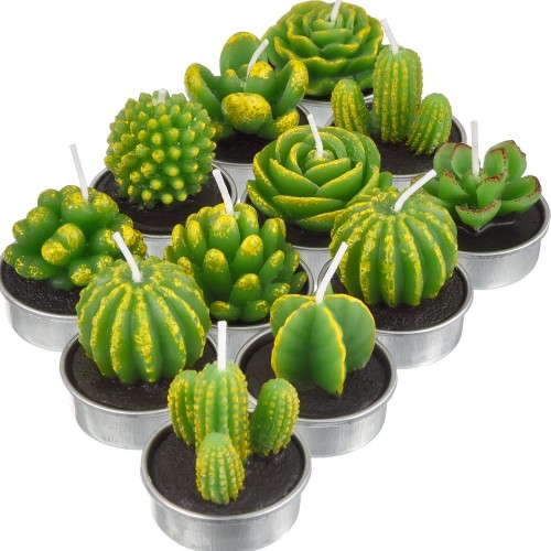 Set da 12 Candele Cactus con vasetto, centrotavola matrimonio