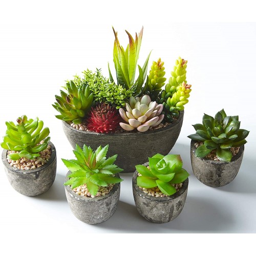Set di 5 piante Artificiali con fiori e pietre, centrotavola