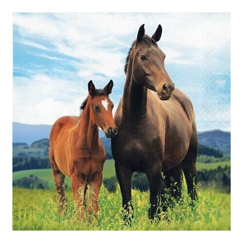 Irpot Kit n 63 Decorazioni Compleanno Cavalli Verde - Horse & Pony