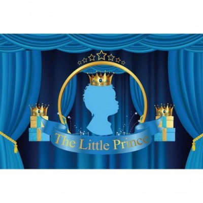 Cassisy 2,2x1,5m Vinile Fondale Foto Il tema del piccolo principe Banner Cartain blu Corona Boy Avatar Gift Sfondo fotografic